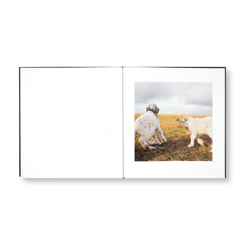 [Signed by the author] ON THE SIXTH DAY by Alessandra Sanguinetti