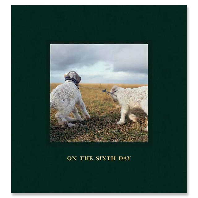 [Signed by the author] ON THE SIXTH DAY by Alessandra Sanguinetti