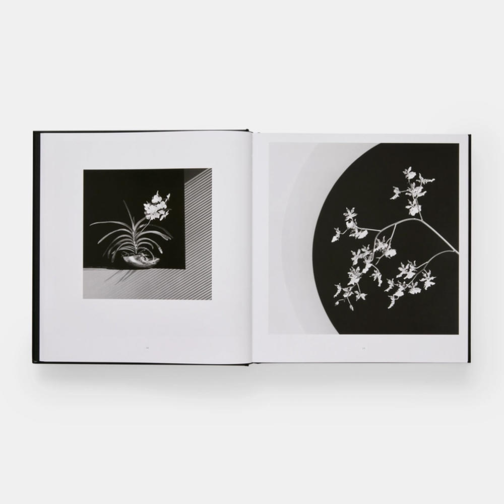 Mapplethorpe Flora: The Complete Flowers by Robert Mapplethorpe