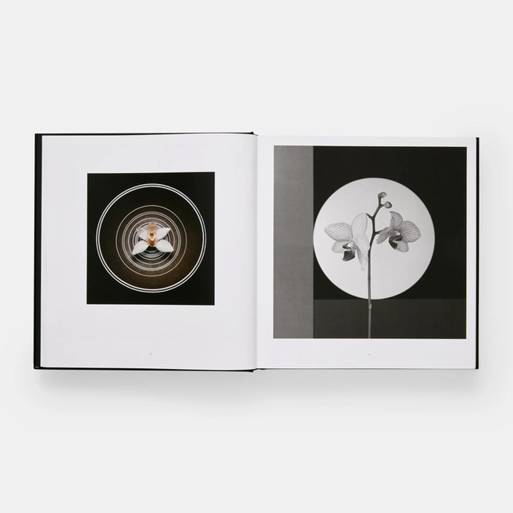 Mapplethorpe Flora: The Complete Flowers by Robert Mapplethorpe