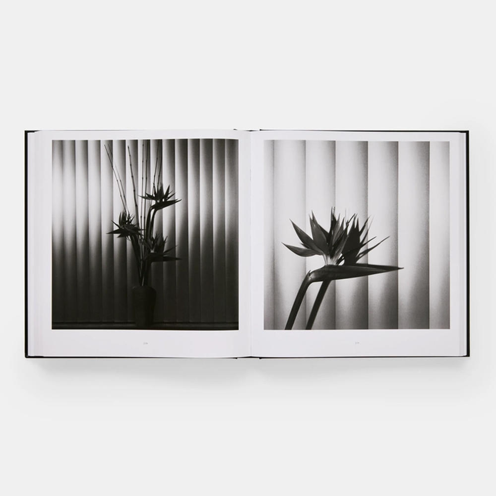 Mapplethorpe Flora: The Complete Flowers by Robert Mapplethorpe