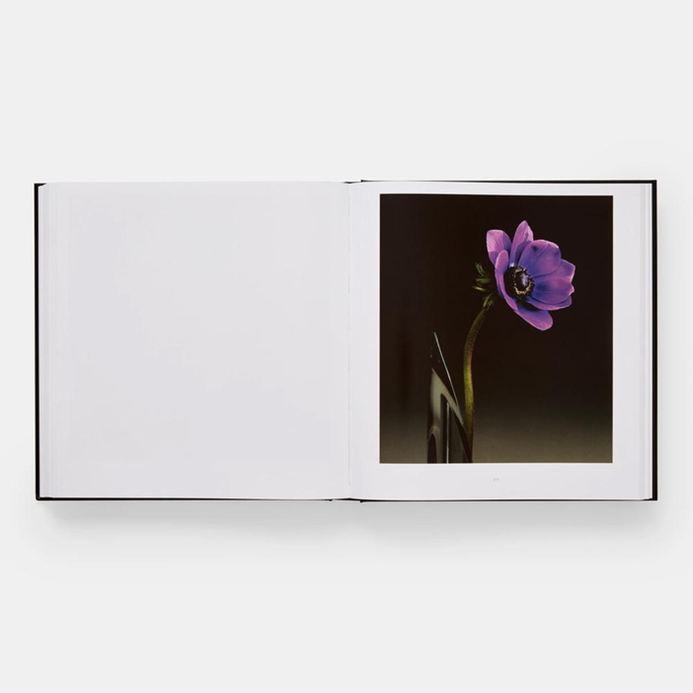 Mapplethorpe Flora: The Complete Flowers by Robert Mapplethorpe