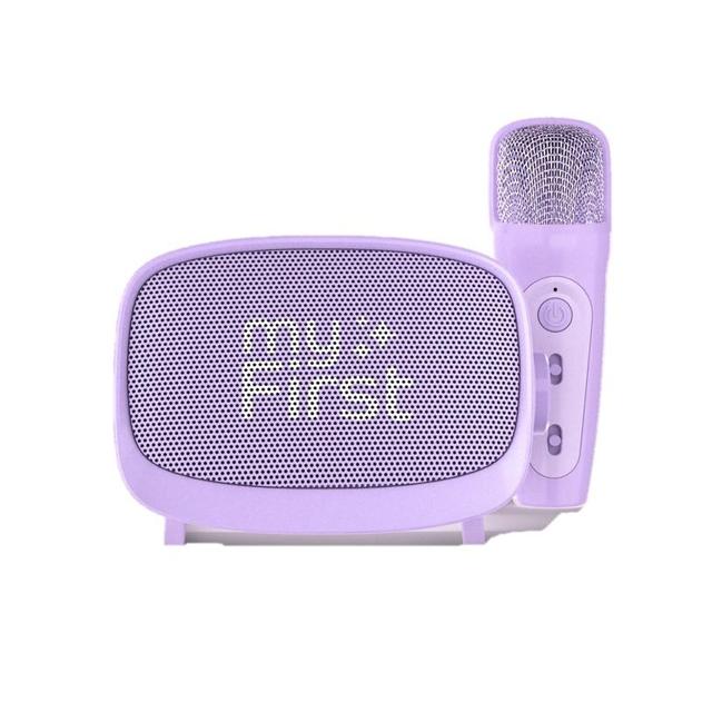 myFirst Voice 2 Purple