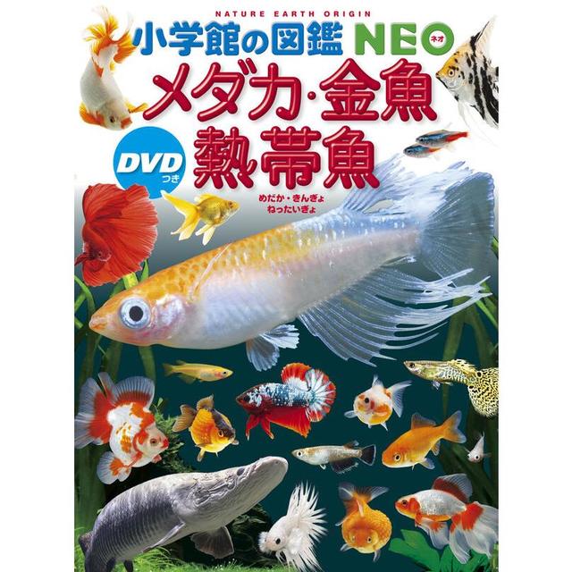 &quot;Shogakukan&#39;s Illustrated Encyclopedia NEO Medaka, Goldfish, and Tropical Fish with DVD&quot; by Nobuaki Okamoto (editor), Hisashi Hashimoto (editor), and Kenji Saito (editor) Published by Shogakukan