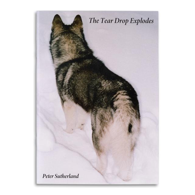 THE TEAR DROP EXPLODES by Peter Sutherland（ピーター・サザーランド） 写真集 ZINE