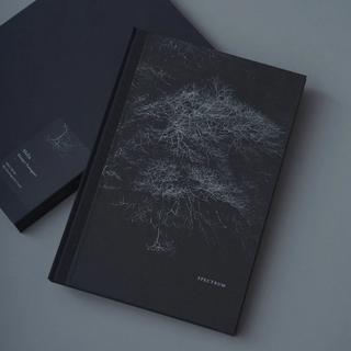 [Signed] Helix by Shimpei Yamagami Photobook