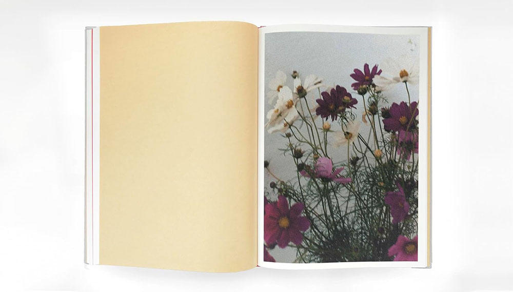 [3rd edition / Choice of types] SWISS Yurie Nagashima Photo Collection