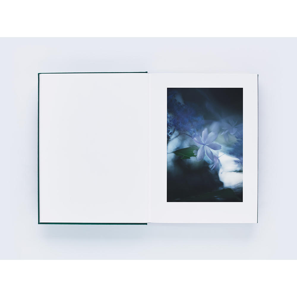 [Signed by the author] Mikiya Takimoto photo book &quot;LUMIÈRE&quot;