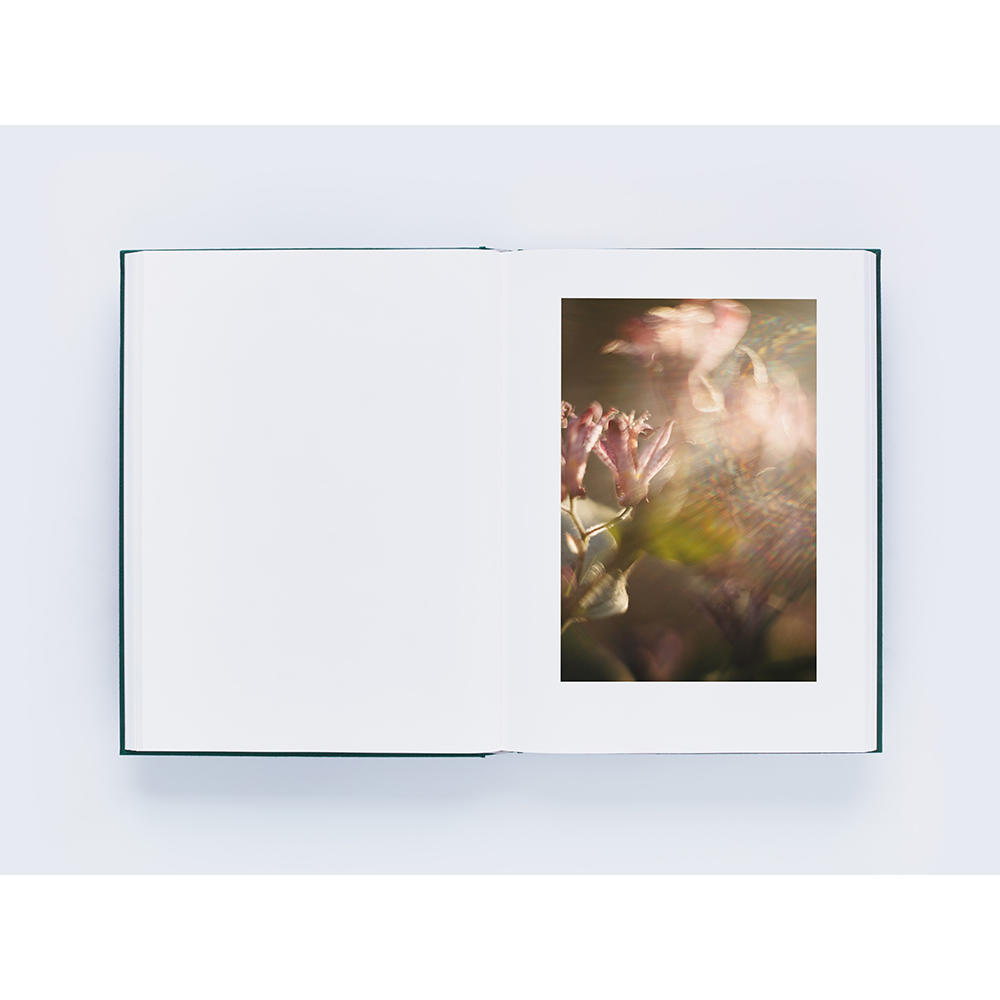 [Signed by the author] Mikiya Takimoto photo book &quot;LUMIÈRE&quot;