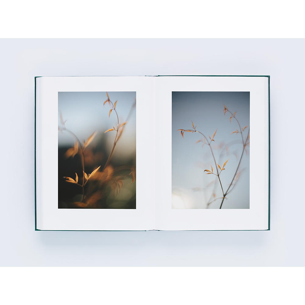 [Signed by the author] Mikiya Takimoto photo book &quot;LUMIÈRE&quot;