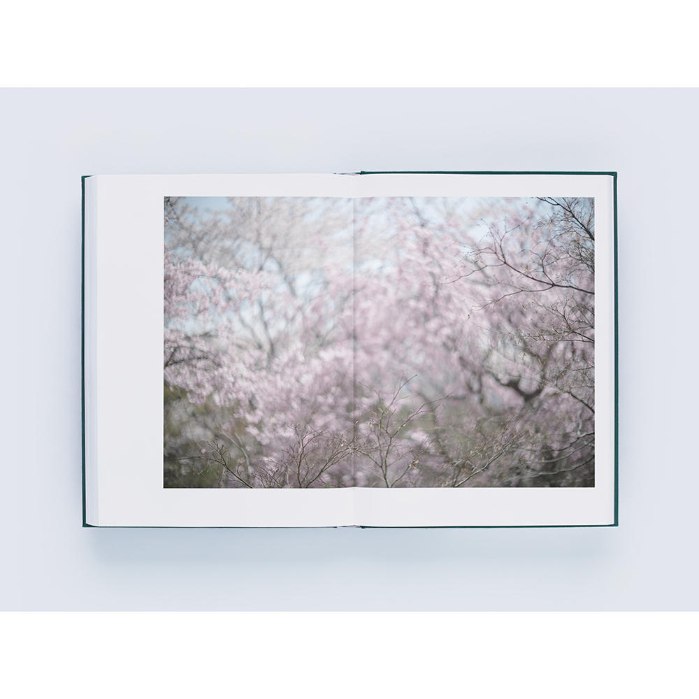 [Signed by the author] Mikiya Takimoto photo book &quot;LUMIÈRE&quot;