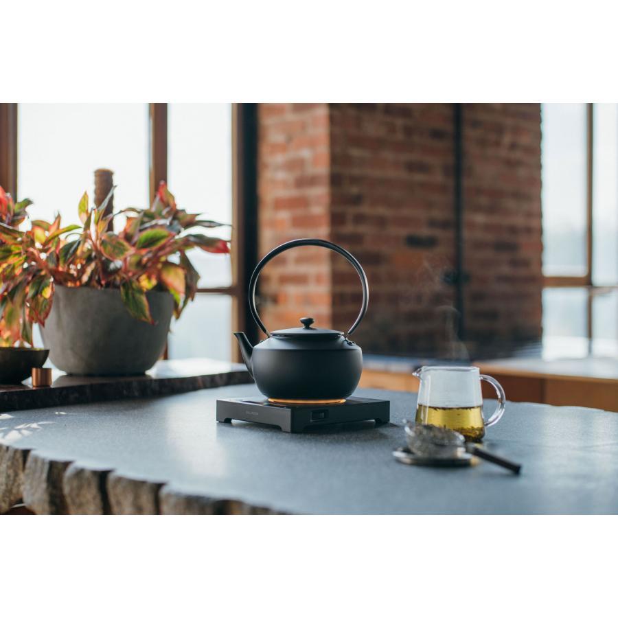 [Now accepting reservations] BALMUDA Moon Kettle BK