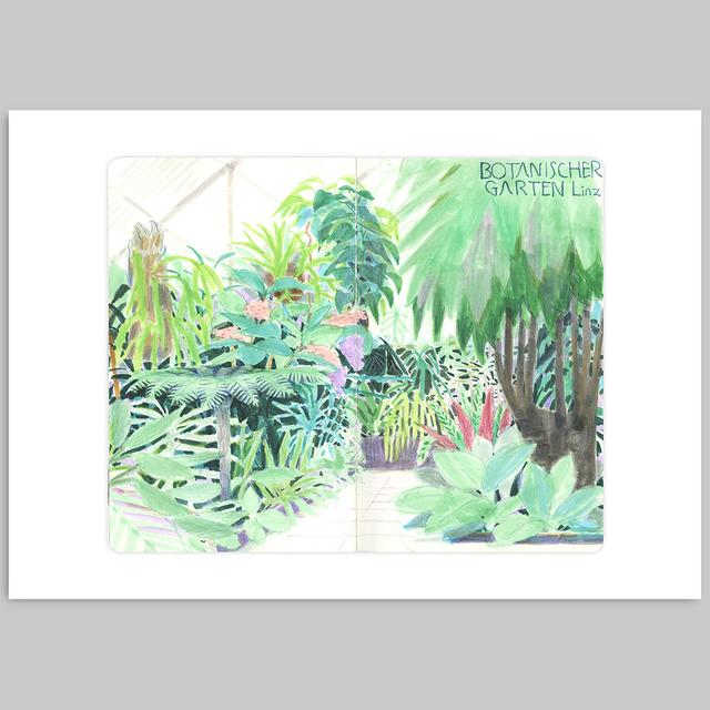 [Takeuma Sketch Reproduction Original Drawing/Sheet 14] Linz Botanical Garden *Scheduled to be shipped approximately 2 weeks after order