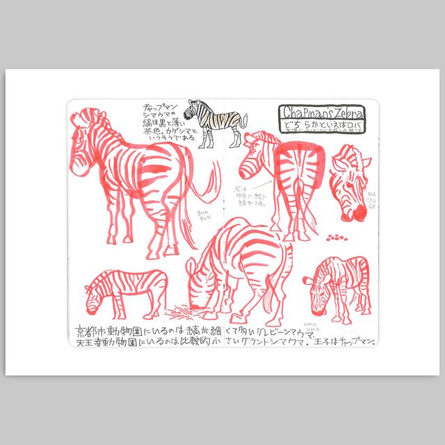 [Takeuma Sketch Reproduction Original Drawing/Sheet 53] Zebra *Scheduled to be shipped approximately 2 weeks after order