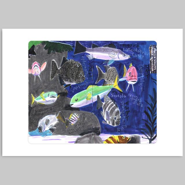 [Takeuma Sketch Reproduction Original Drawing/Sheet 56] Nagoya Port Public Aquarium *Scheduled to be shipped approximately 2 weeks after order