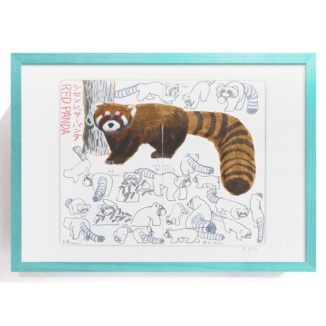 [Takeuma Sketch Reproduction Framed/Sheet 17] Red Panda *Scheduled to be shipped in mid-April