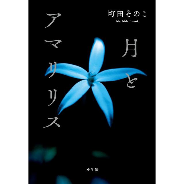 (Signed book) Moon and Amaryllis by Sonoko Machida